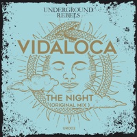 The Night - Single - Vidaloca