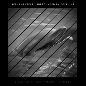 Surrounded by Dolphins - Single