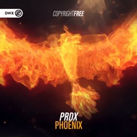 Phoenix - Single - PRDX & Dirty Workz