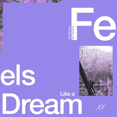 Feels Like A Dream - Single