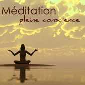 Méditation pleine conscience – Musique relaxante pour yoga, méditation, reiki et méditation de pleine conscience - Oasis de Méditation