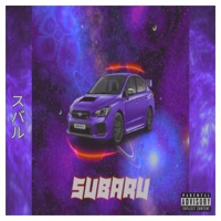 Subaru - Single - Richard Mille & Negoflex