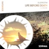 Life Before Death - Single