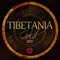 Marrakech Dreaming (Ala Chokri Remix) - Andrew Holt & Tibetania lyrics