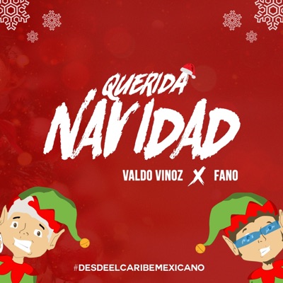 Querida Navidad - Single