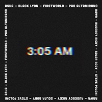 3:05 Am - Animal Music Studios, Rudeboy Ricky, Steve Poloni, FirstWorld, Solar Body, Black Lyon, Asha, Rawr & pao altamirano