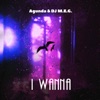 I Wanna (Record Mix)