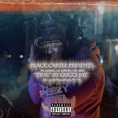 Pray (feat. OMB Peezy) - Single