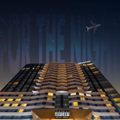 For the Night - Single