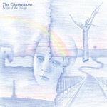 The Chameleons - Second Skin