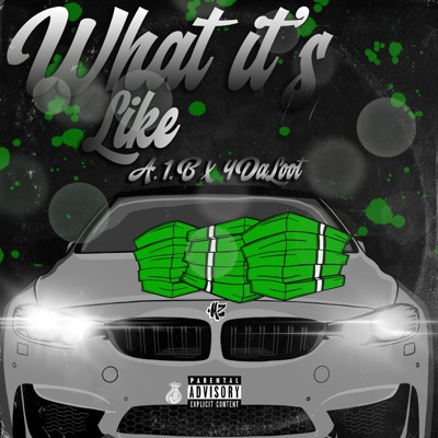 What It's Like (feat. 4Daloot) - Single