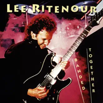 I'm Not Responsible by Lee Ritenour song reviws