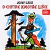 Josef Hlinomaz; Lida Pichova