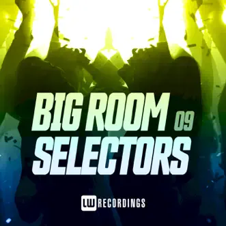 Big Room Selectors, 09 by Various Artists album reviews, ratings, credits