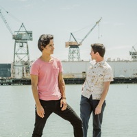 The Dodos