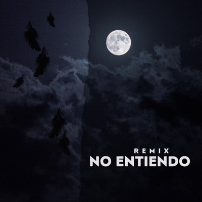 No Entiendo (Remix) - Single
