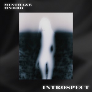 Introspect - Single