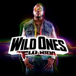 WILD ONES cover art