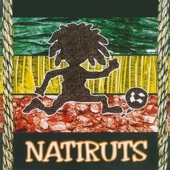 Natiruts artwork