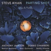 Steve Khan - Influence Peddler