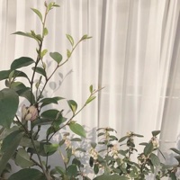 Sincerely - Single - xona