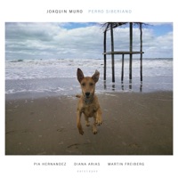 Perro Siberiano - Single - Joaquín Muro, Pia Hernandez, Diana Arias & Martín Freiberg