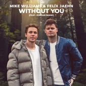 Without You (feat. Jordan Shaw) artwork