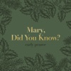 Carly Pearce - Mary, Did You Know?
