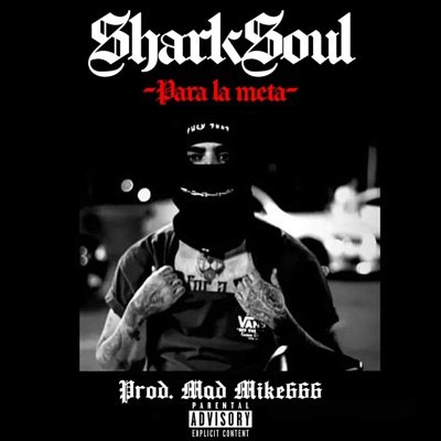 Para la Meta - Single