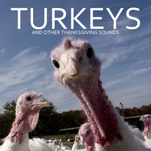 Turkeys and Other Thanksgiving Sounds
