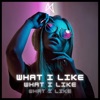 What I Like - Single