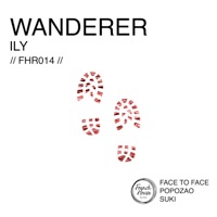 Wanderer - Single - Ily
