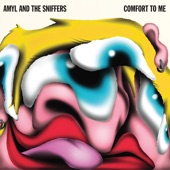 Amyl and the Sniffers - Choices