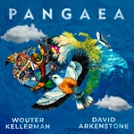 Wouter Kellerman & David Arkenstone - Dance of Joy