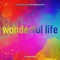 Wonderful Life cover