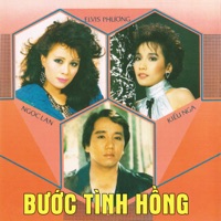 Bước Tình Hồng - Kiều Nga
