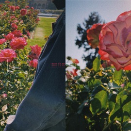 I Know I'm Not What You Want 静的 Static & Lil Skele