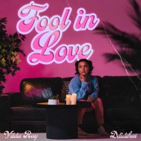 Fool in Love - Single - Ddidthat & Vilda Ray