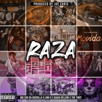 Raza (feat. Big Chu da Guerilla, Low G, Isaiah Deleon & the Thief) - Single - Joe Chris