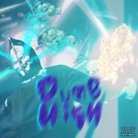 Dumb High - Single - swimcoach