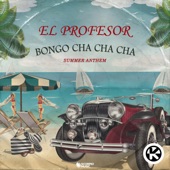 Bongo Cha Cha Cha (Summer Anthem) artwork