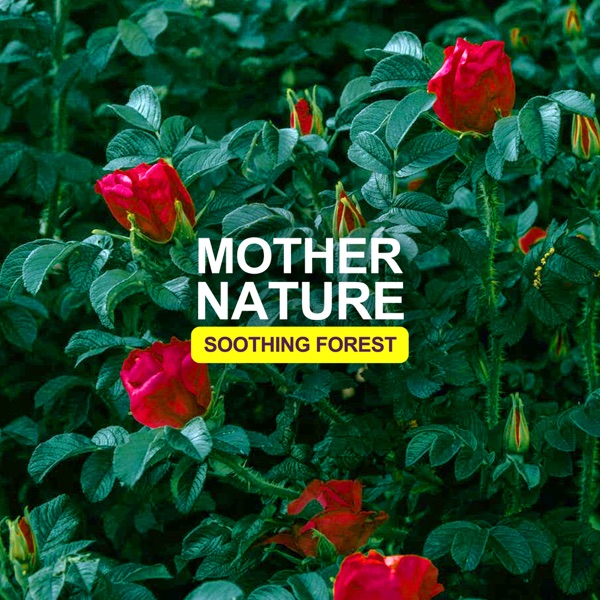 Mother Nature - Soothing Forest - EP