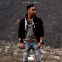 Fear & Love - Single - Sumi