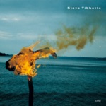 Steve Tibbetts - Glass Everywhere