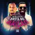 Brota no Bailão song reviews