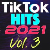 TikTok Hits 2021, Vol. 3 artwork