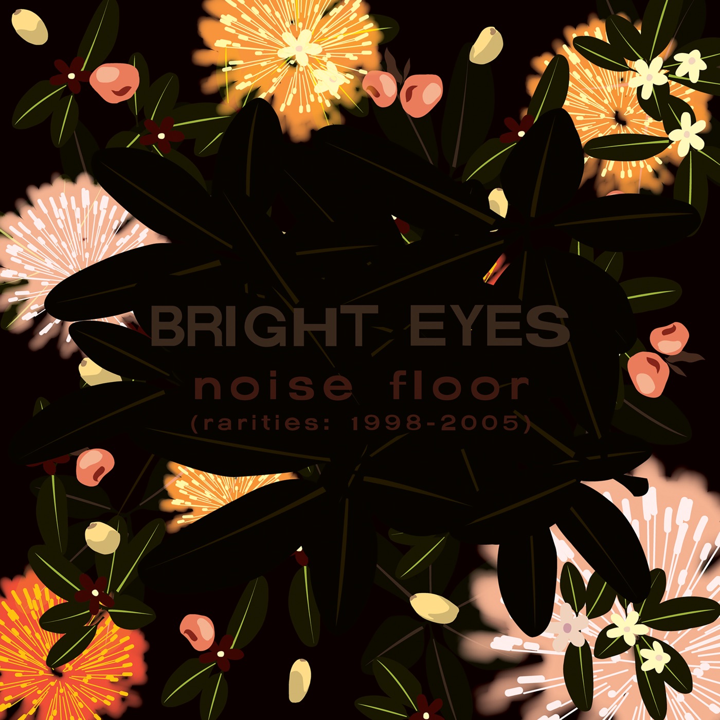 Noise Floor (Rarities: 1998-2005) by Bright Eyes