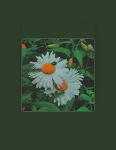 Ascolta Synthy Pugh, guarda video musicali, leggi la biografia, vedi le date del tour & altro!