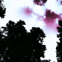 Lost In the Snow - Single - digifern