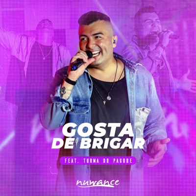 Gosta de Brigar (feat. Turma do Pagode) - Single